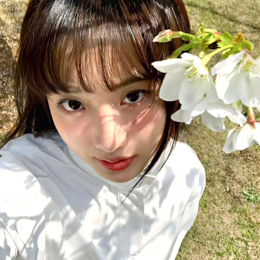 小鱼儿与花无缺封面