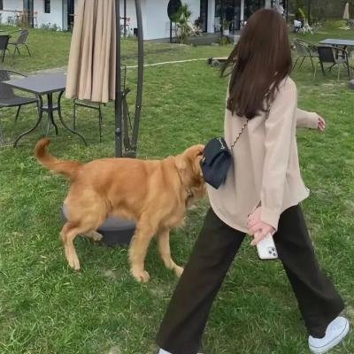 猎杀：生死突围封面